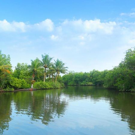 Global Lake Villa Hikkaduwa Εξωτερικό φωτογραφία