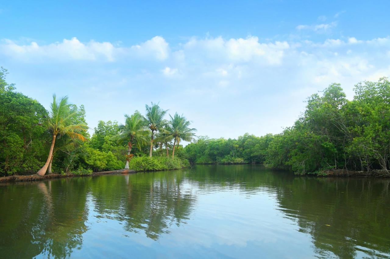 Global Lake Villa Hikkaduwa Εξωτερικό φωτογραφία