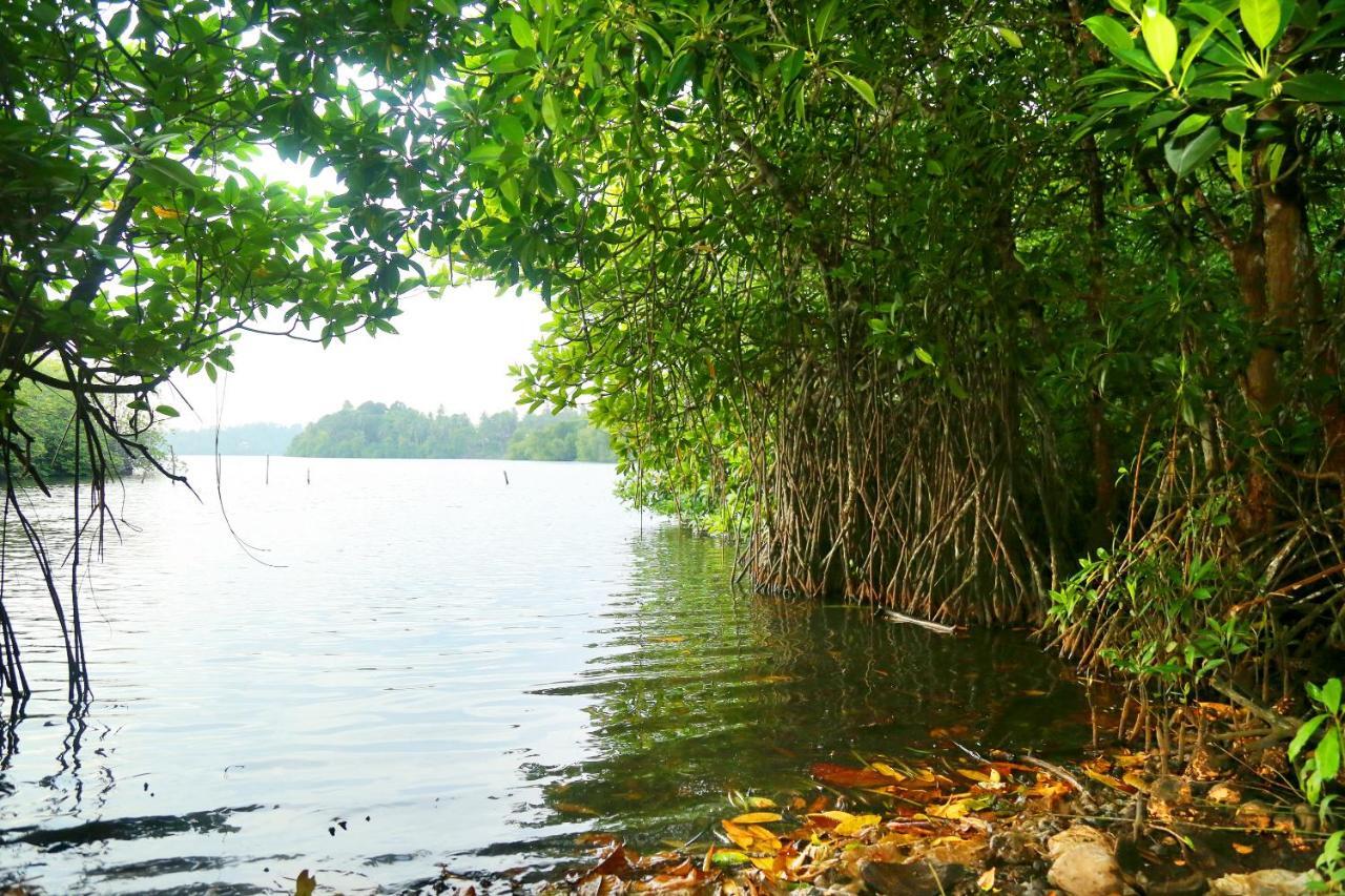 Global Lake Villa Hikkaduwa Εξωτερικό φωτογραφία