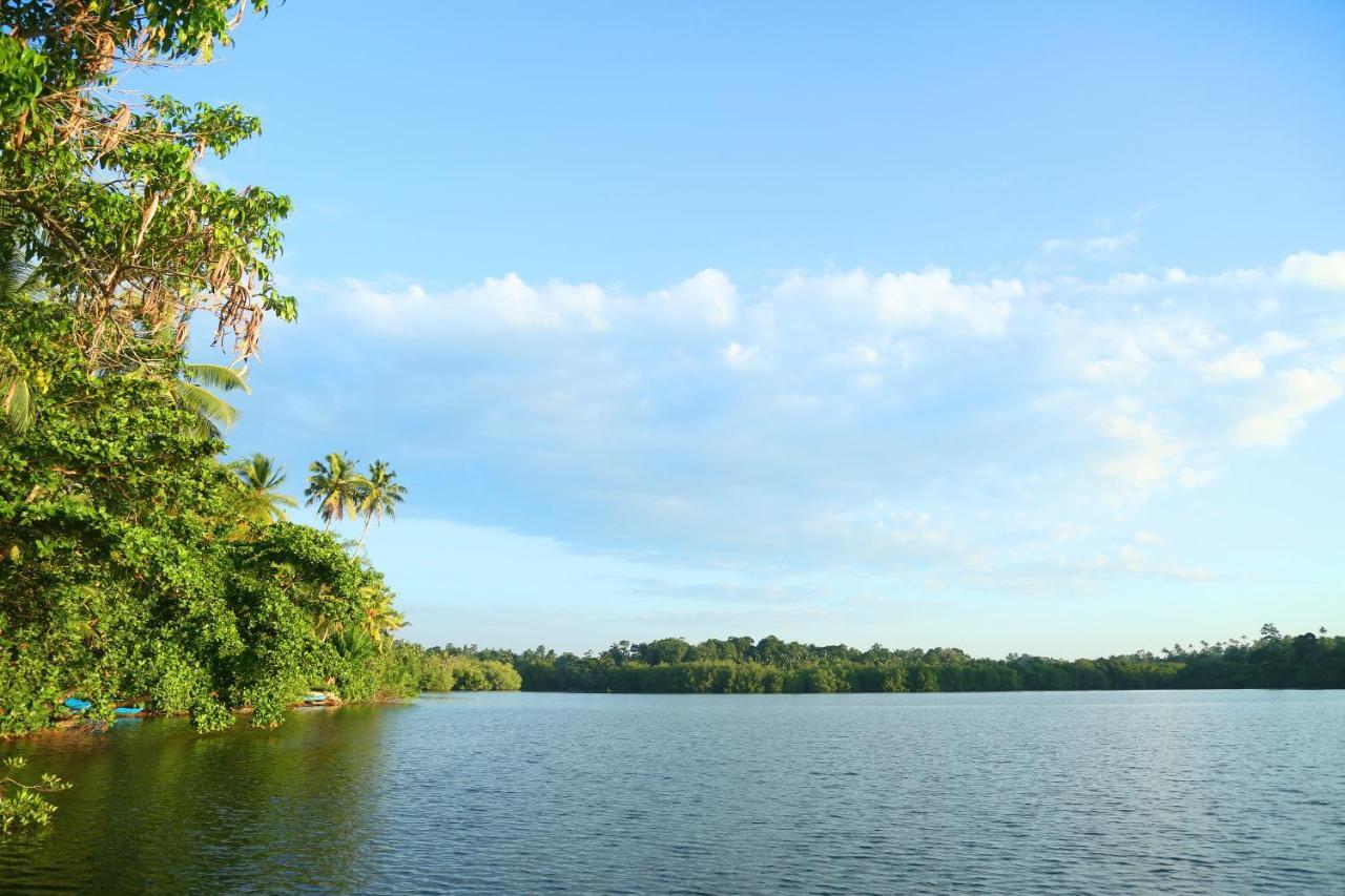 Global Lake Villa Hikkaduwa Εξωτερικό φωτογραφία
