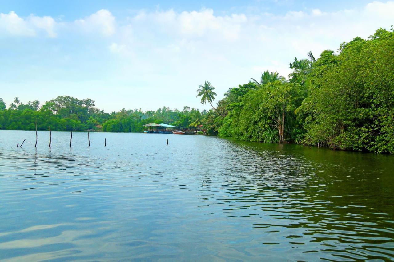 Global Lake Villa Hikkaduwa Εξωτερικό φωτογραφία